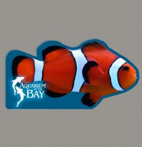 Aquarium-of-the-Bay Souvenir Magnet