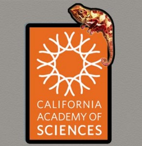 California-Academy-of-Sciences Souvenir Magnet