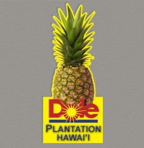 Dole-plantation Souvenir Magnet
