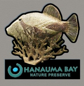Hanuama-Bay Souvenir Magnet