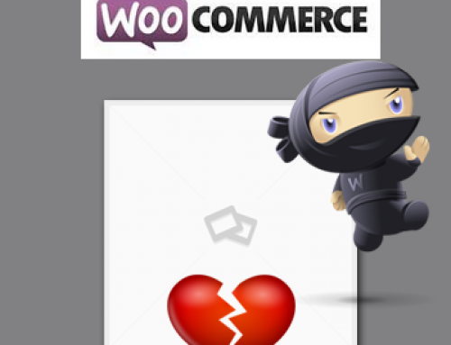 All WooCommerce Images Dissappeared with Update